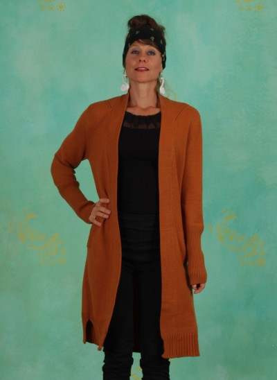 Cardigan, 10604756, orange