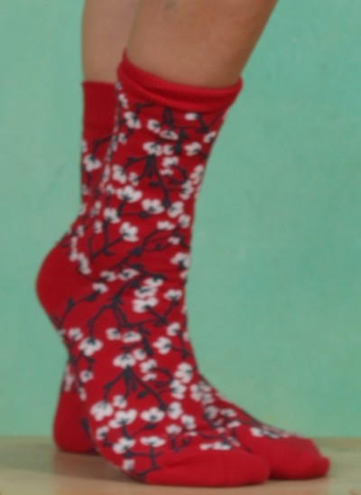 Socken, S21ACS10, red