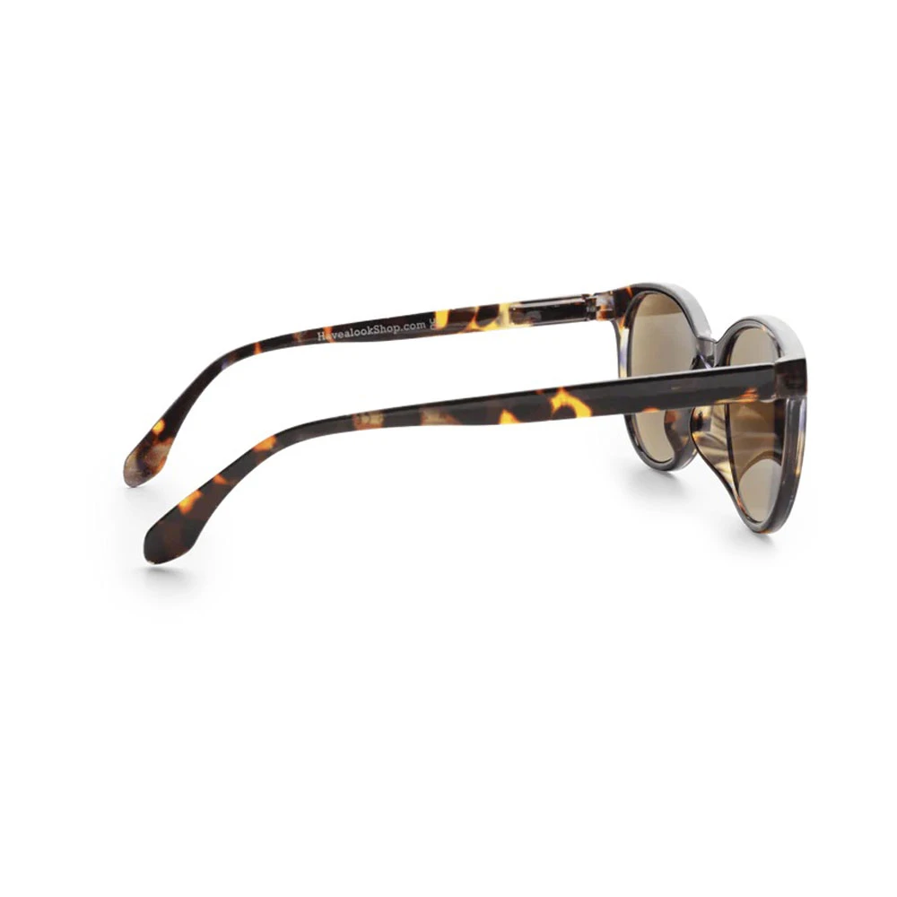 Sonnenbrille, SG-C7, brown-multi - Image 2