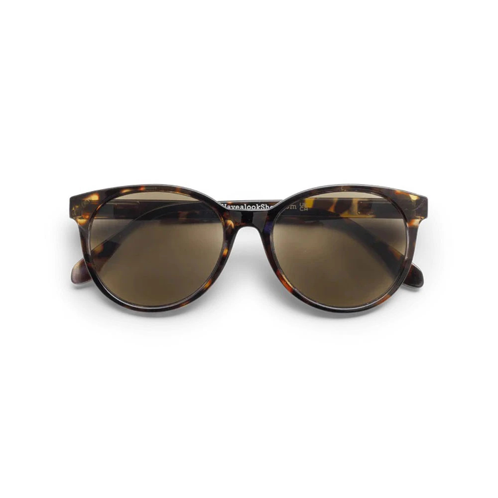 Sonnenbrille, SG-C7, brown-multi - Image 1