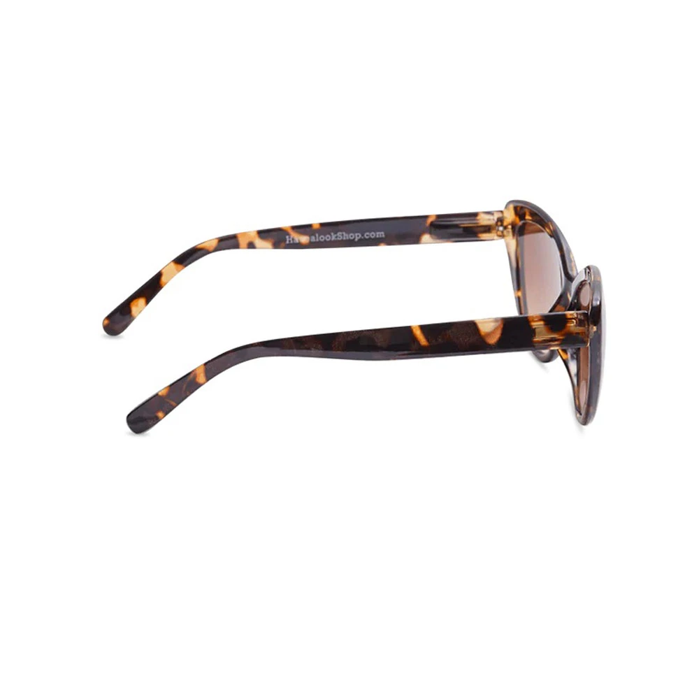 Sonnenbrille, SG-CE3, brown-multi - Image 2